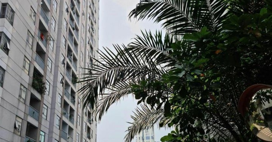 Luxcity Quận 7 – Không Gian Sống Hiện Đại Giữa Lòng Sài Gòn