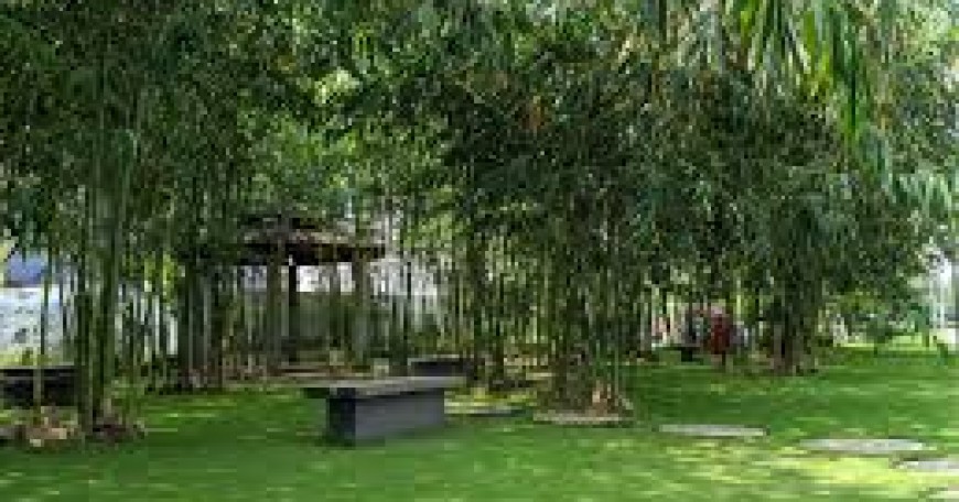 Căn hộ Eco Xuân Lái Thiêu – Vị trí Quốc lộ 13 – Kết nối TP.HCM nhanh chóng