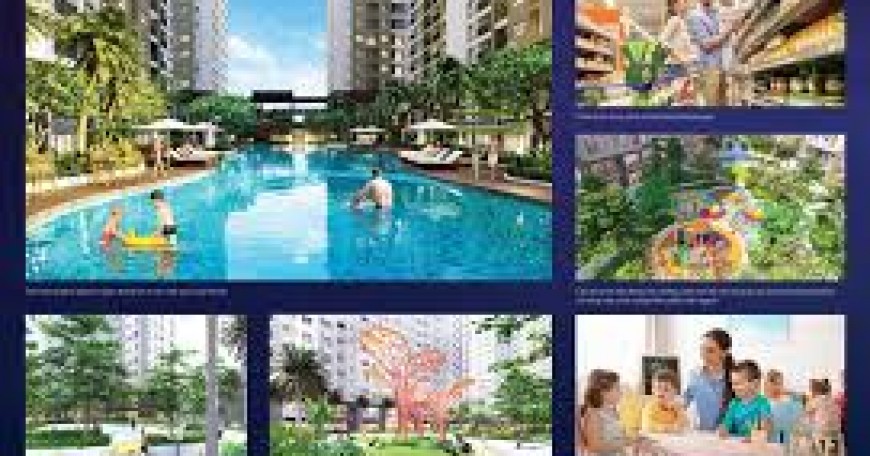New Galaxy Bình Dương – Căn Hộ Cửa Ngõ TP.HCM, Tiềm Năng Cho Thuê & Đầu Tư Sinh Lời Cao