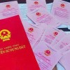 買賣房地產和車輛時，無需單身證明