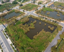 胡志明市將於2025年6月在守添區展開土地拍賣計劃