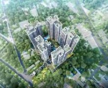 富美興 Harmonie 第二次開盤的強勁吸引力