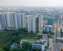 平陽省土地租賃減免政策：影響與發展戰略