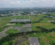 胡志明市關於農業用地使用的新規定