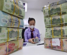 關於《2024年土地法》對房地產市場影響，特別是針對越南僑胞可以回國買土地,投資別墅