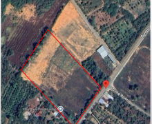 出售土地｜位於堅江省富國市 Cửa Dương 社 Búng Gội 村