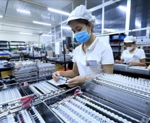 國際專家高度評價越南市場潛力 