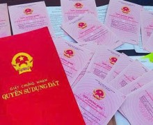 買賣房地產和車輛時,無需單身證明