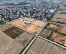 漏洞在土地拍賣中:原因與解決方案