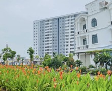 邁向三類城市:平政縣的戰略轉型