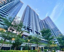 公寓价格比 2024 年大幅上涨